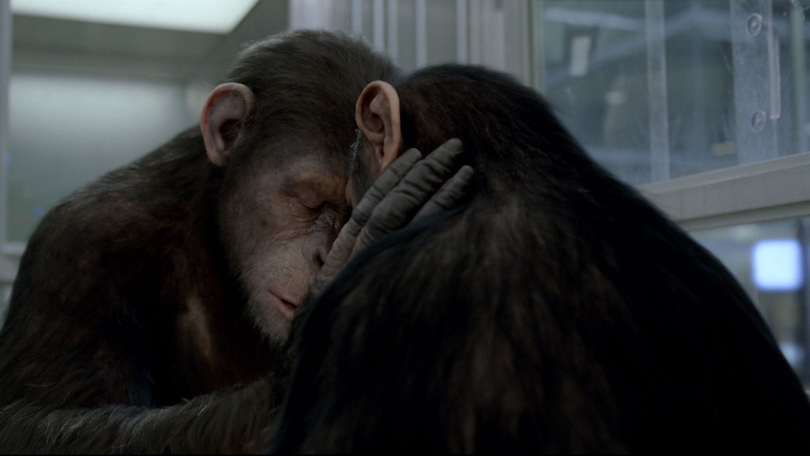 Still from "Rise of the Planet of the Apes"