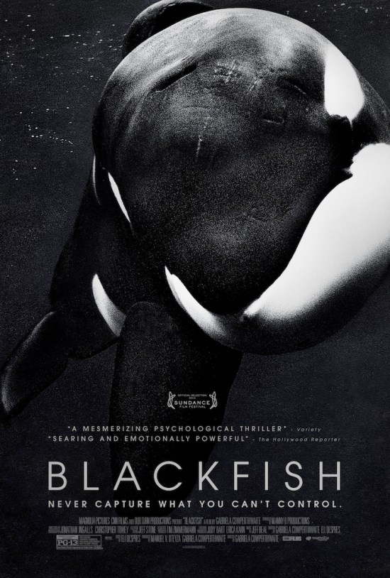 Poster for "Blackfish"