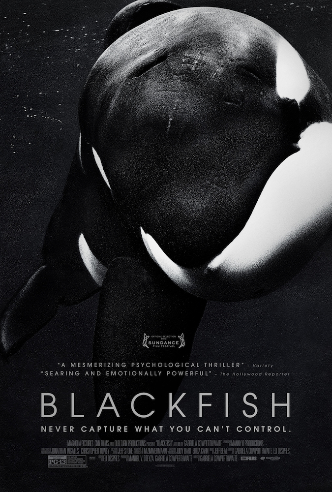 Poster for "Blackfish"
