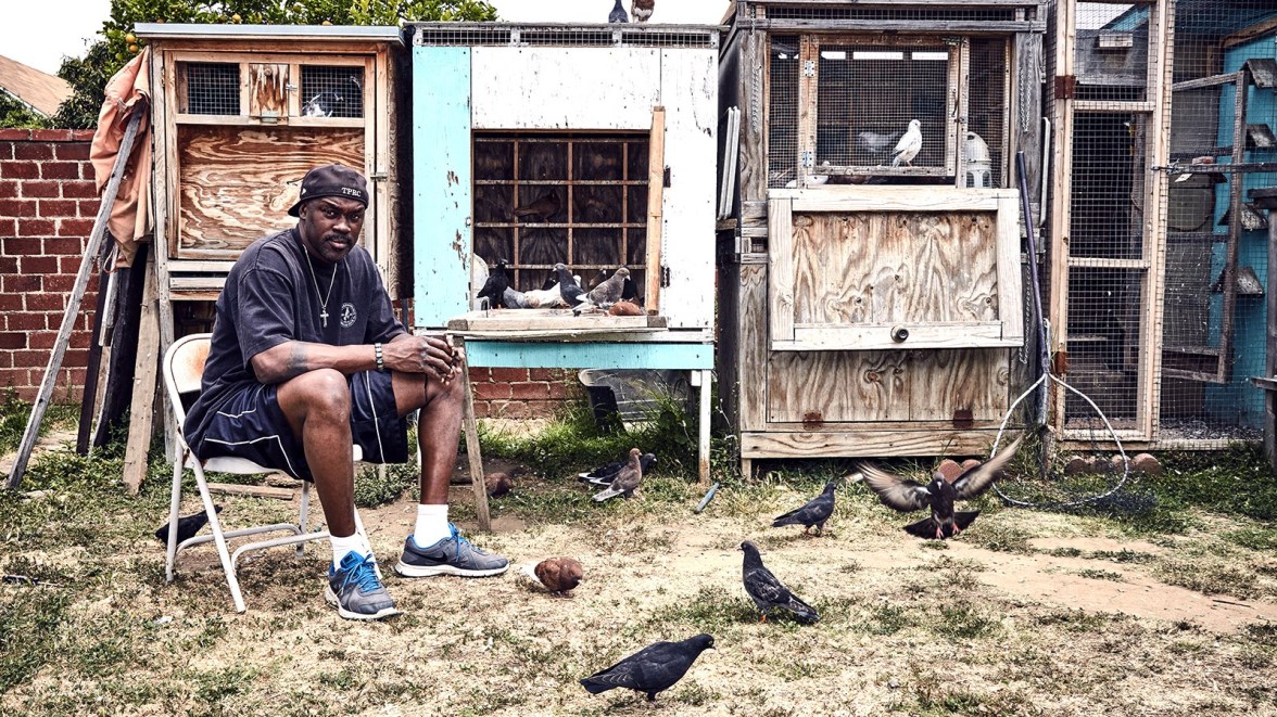 Still from "Pigeon Kings"