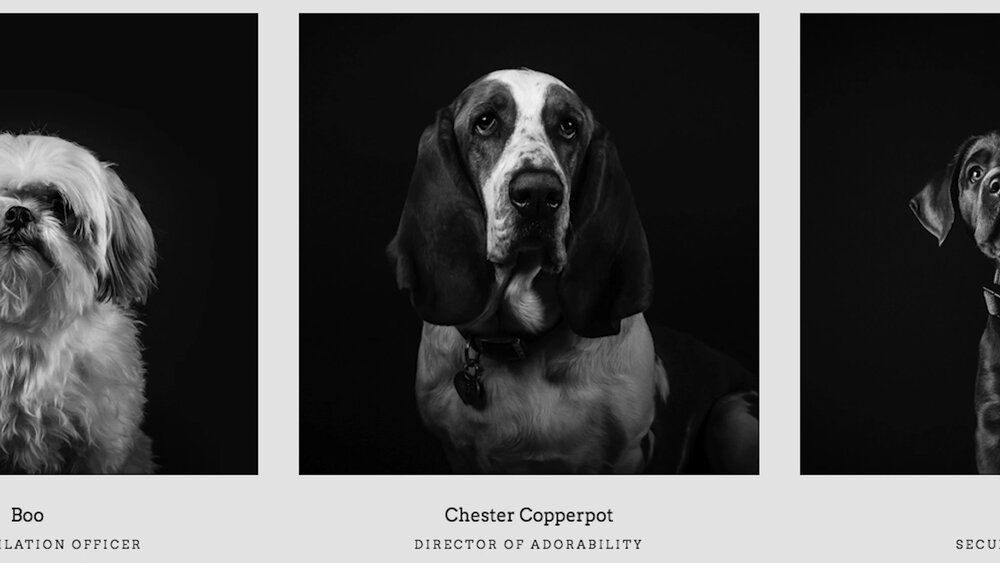 Still from "Affurmative Action"